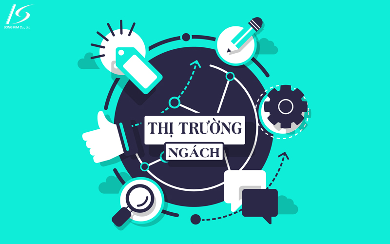 Thị trường ngách là gì? Cách xác định thị trường ngách