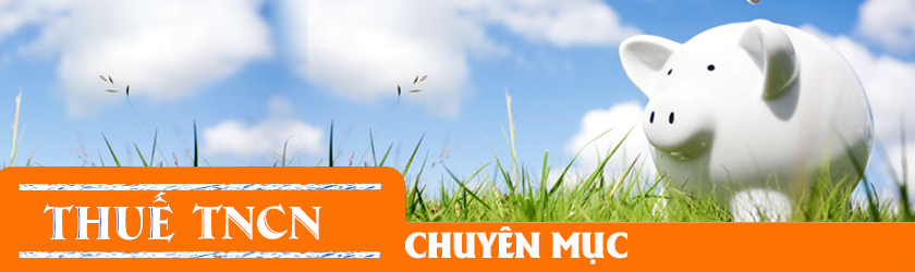 Luật thuế thu nhập cá nhân