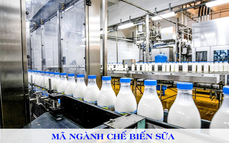 Mã ngành chế biến sữa và các sản phẩm từ sữa