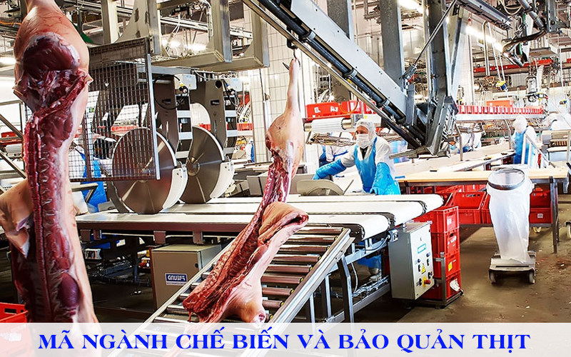 Mã ngành chế biến, bảo quản thịt và các sản phẩm từ thịt