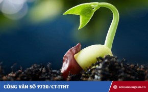 Công văn 9720/CT-TTHT về thuế GTGT đối với sản phẩm giống cây trồng